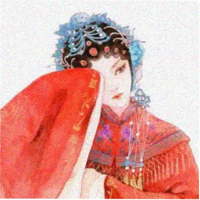 读者苏禾的头像
